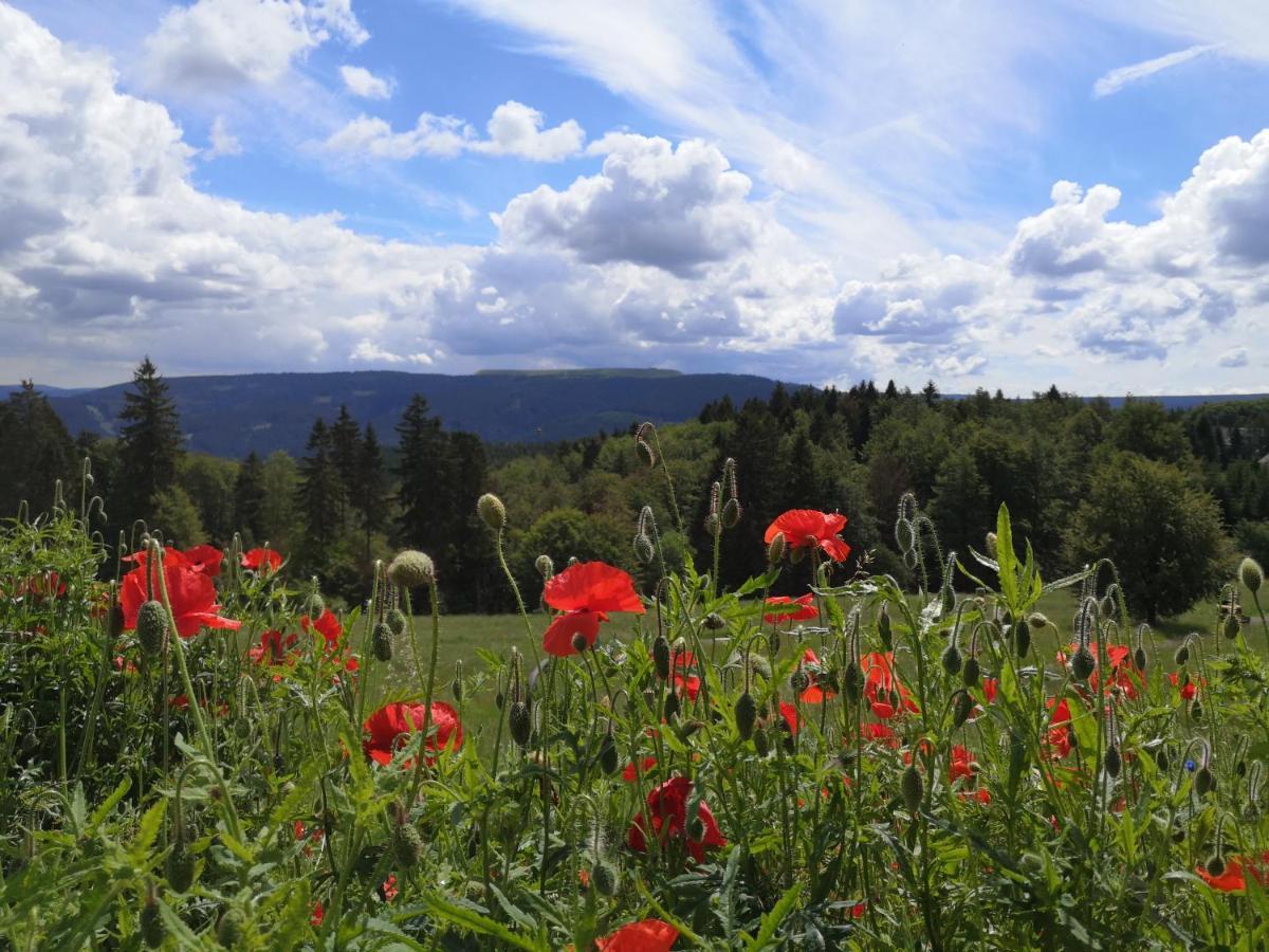 Hotel Schoene Aussicht มาสเซอร์แบร์ก ภายนอก รูปภาพ