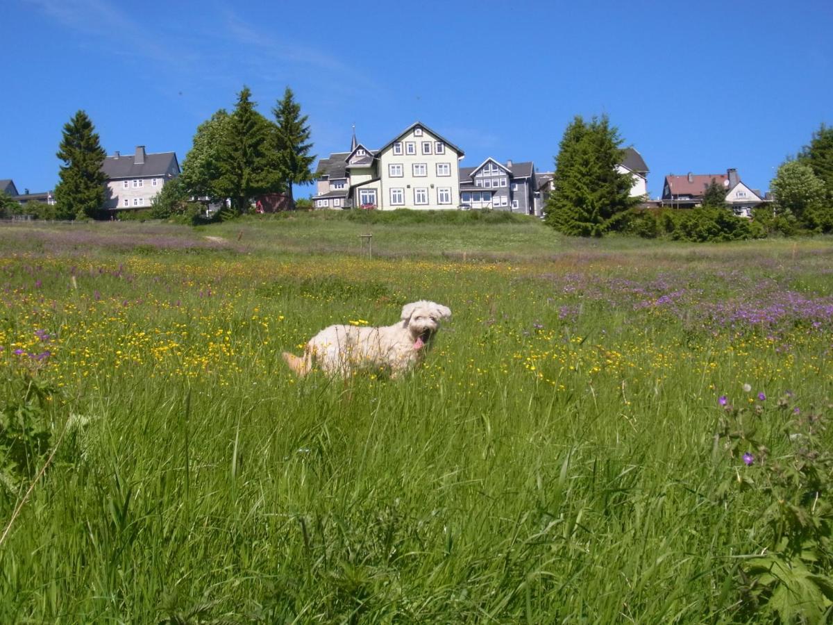 Hotel Schoene Aussicht มาสเซอร์แบร์ก ภายนอก รูปภาพ